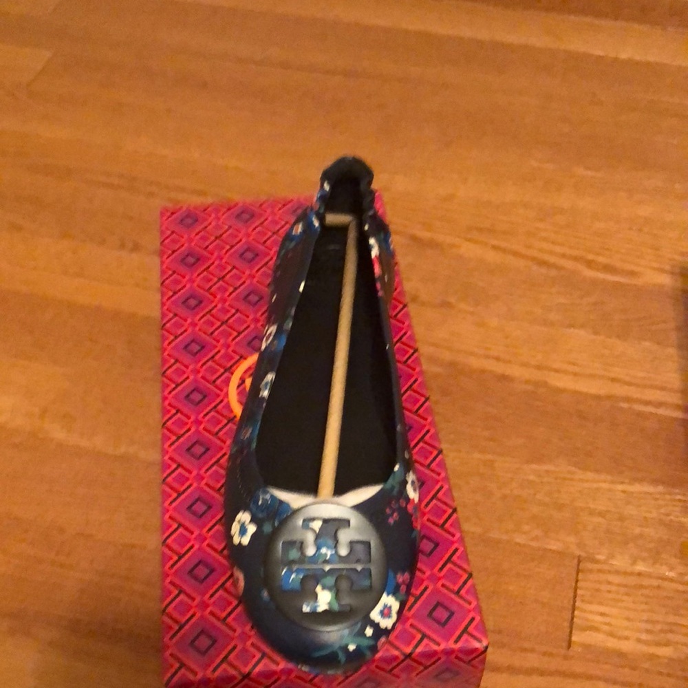 Minnie Travel Ballet